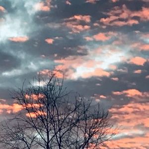 Meet your Posher, Michele